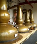 GlenDronach Distillery